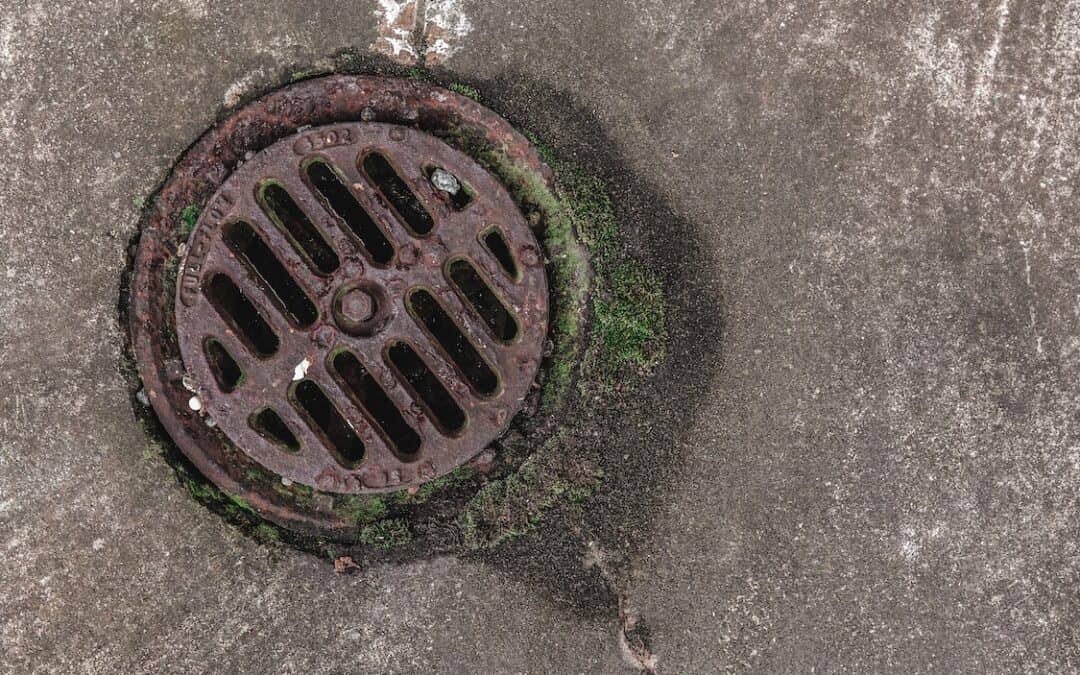 4 Consequences of a Leaking or Blocked Sewer