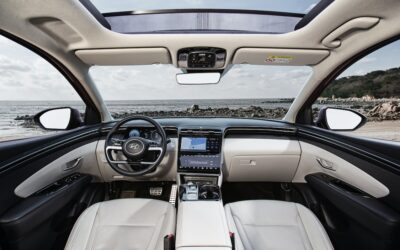 7 Must-Have Car Accessories for Every Driver