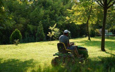 10 Home Maintenance Supplies to Keep Weeds at Bay