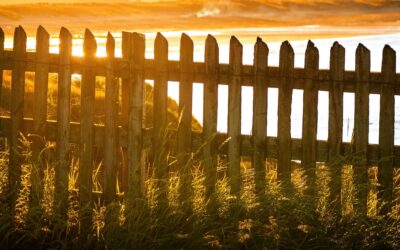 Beautifying Your Yard With Decorative Fencing