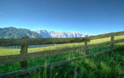 How-to Choose the Right Fence for Your Yard
