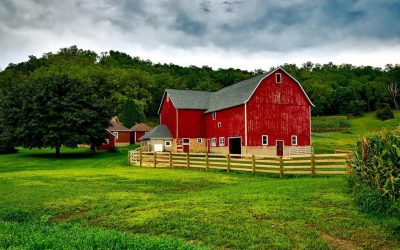 Living Down South: Your Gateway to Georgia Real Estate