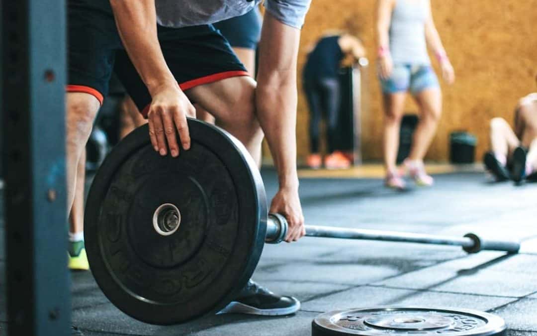 Essential Nutrition Planning for Optimal Body Performance