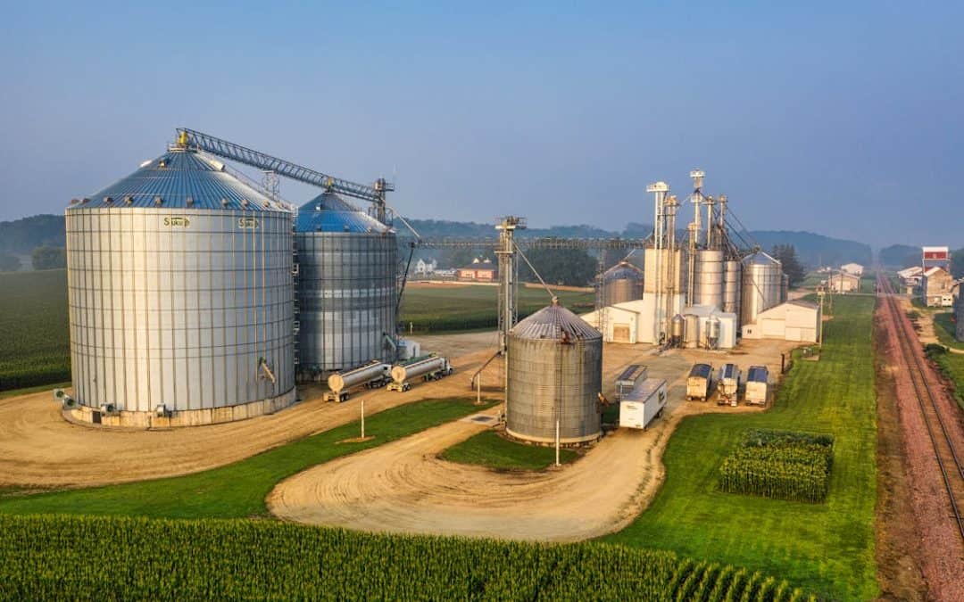 A Complete Guide to the Types of Silo Storage Systems