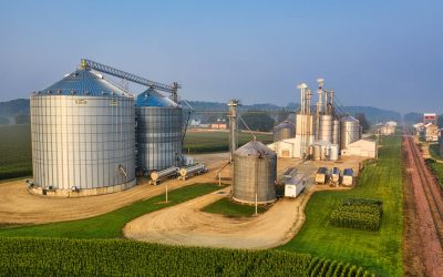 A Complete Guide to the Types of Silo Storage Systems